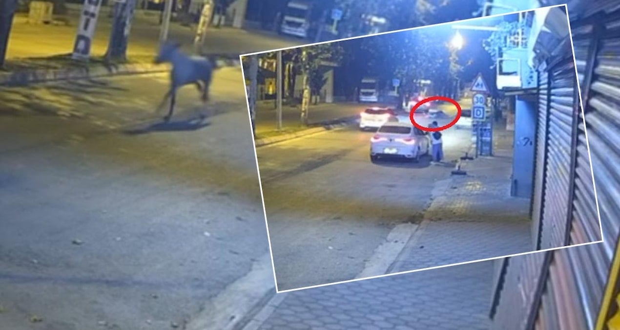 adanada bir garip kaza at karsidan gelen araca carpti ILJm9QSx