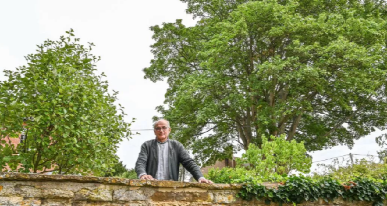 tum bu agac icin koy seferber oldu cok degerli 3F2LchSB