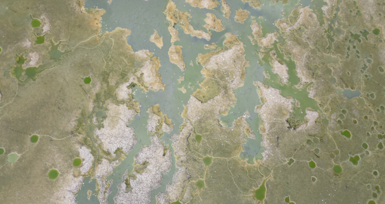 yesilsirt goleti kuruma noktasina geldi 3En3lNZa