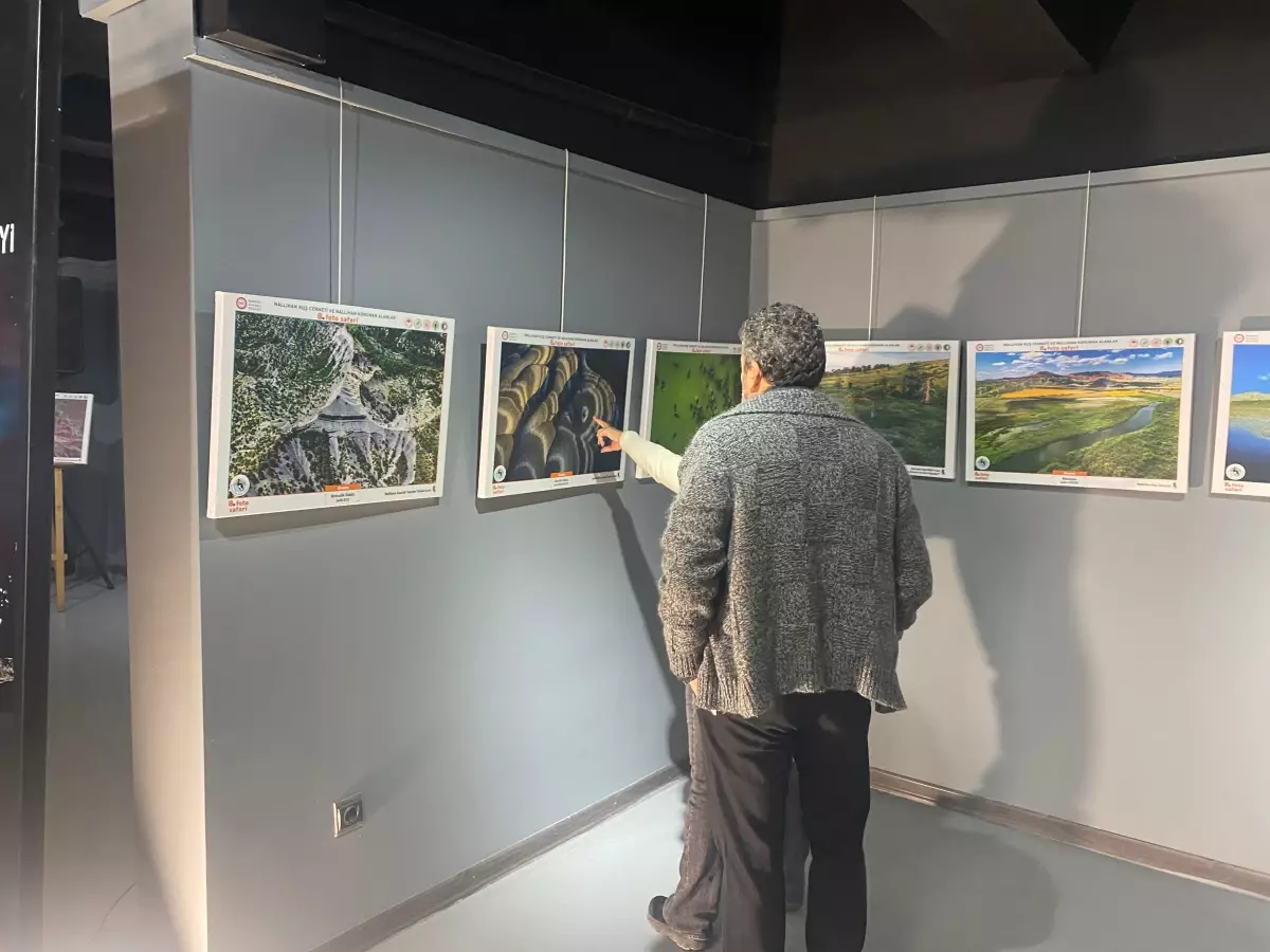 nallihan kus cennetinde foto safari sergisi acildi bE7EfFs1