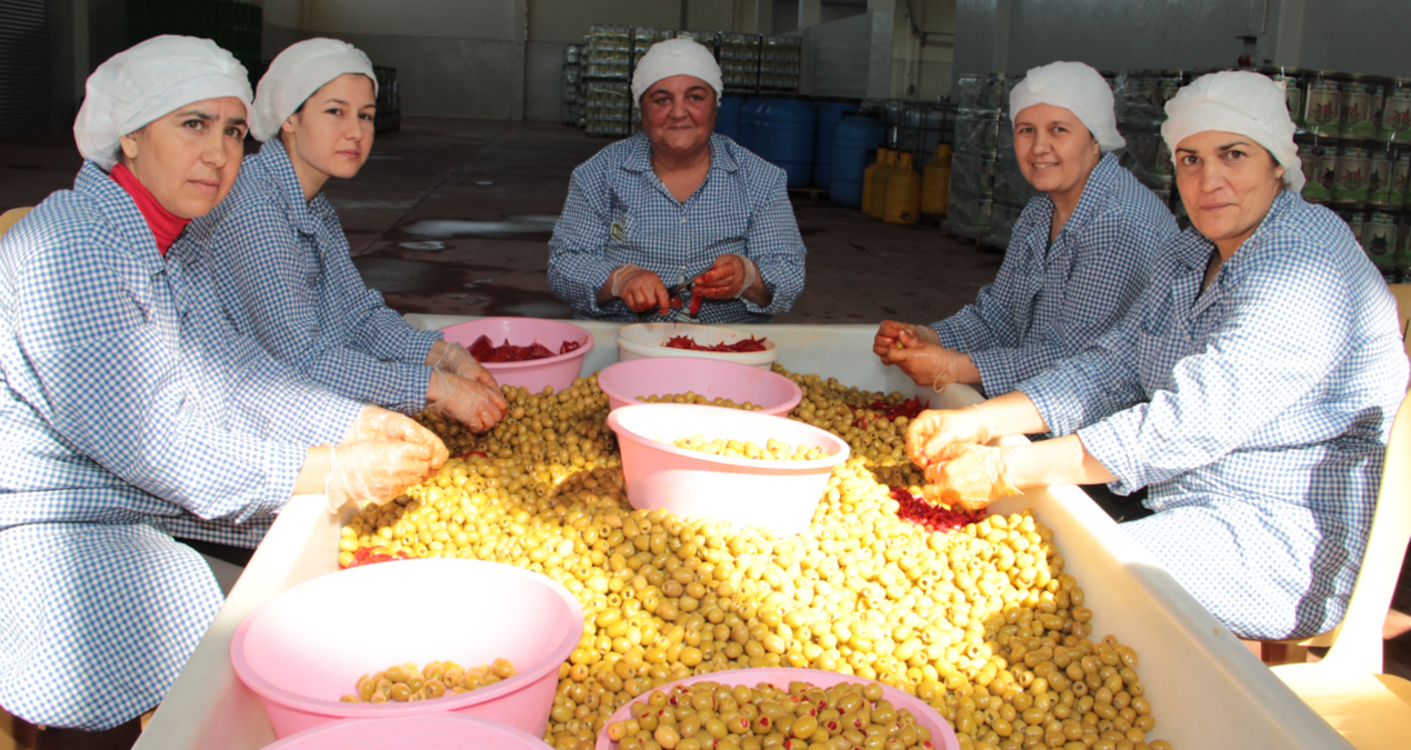 yesil zeytin ihracatinda tarihi rekor kirildi IT3AJOKE