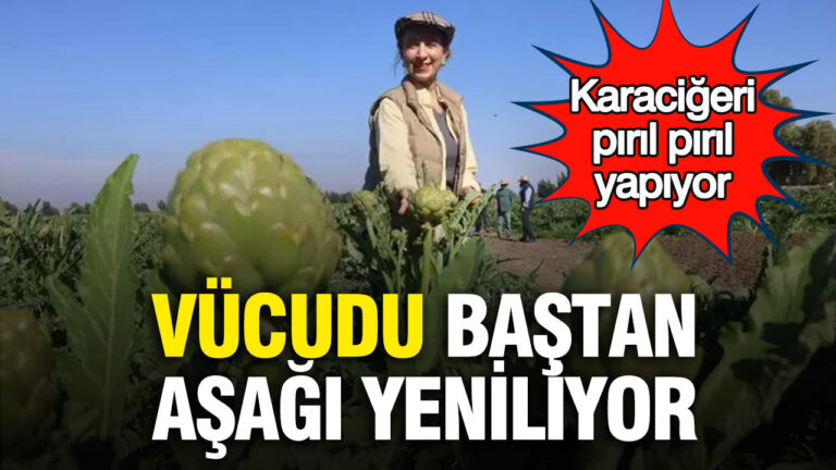 vucudu-bastan-asagi-yeniliyor-karacigeri-piril-piril-yapiyor-9kmp22XF